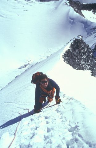 Alpes suizos. Lenzspitze - Nadelhorn + Weissmies.