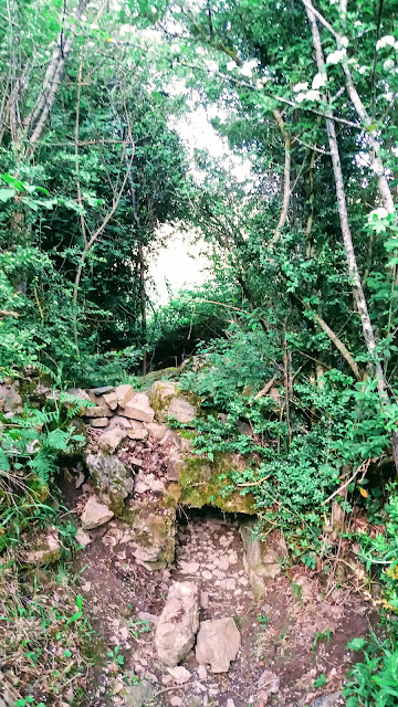 Senderismo en Biescas: Orós alto - Barbenuta - Orós bajo