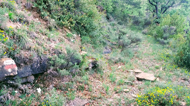 Senderismo en Biescas: Orós alto - Barbenuta - Orós bajo