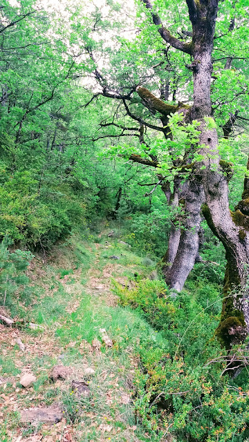Senderismo en Biescas: Orós alto - Barbenuta - Orós bajo