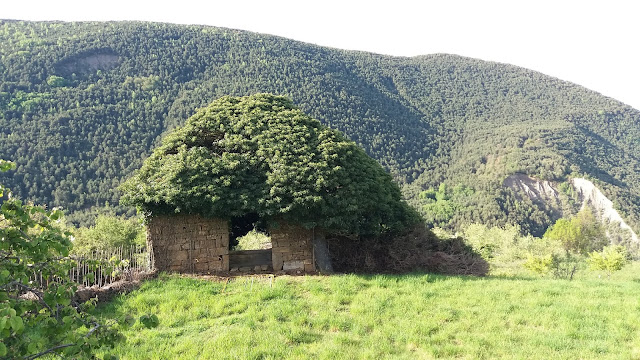 Senderismo en Biescas: Orós alto - Barbenuta - Orós bajo