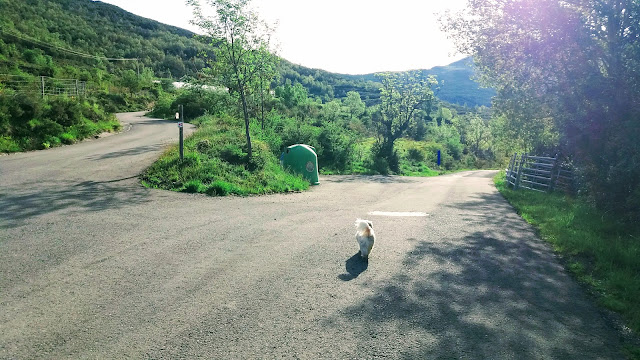 Senderismo en Biescas: Orós alto - Barbenuta - Orós bajo