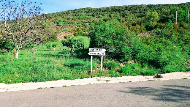 Senderismo en Biescas: Orós alto - Barbenuta - Orós bajo