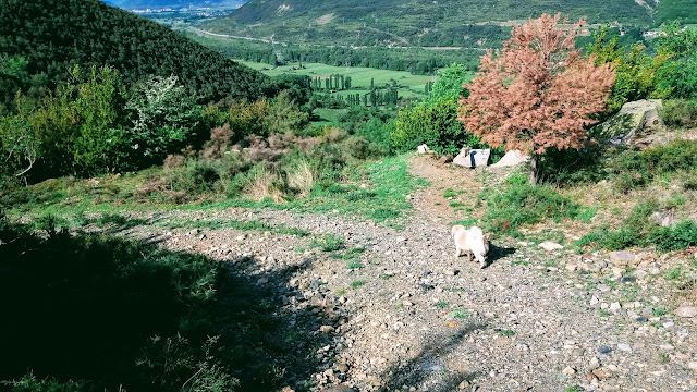 Senderismo en Biescas: Orós alto - Barbenuta - Orós bajo