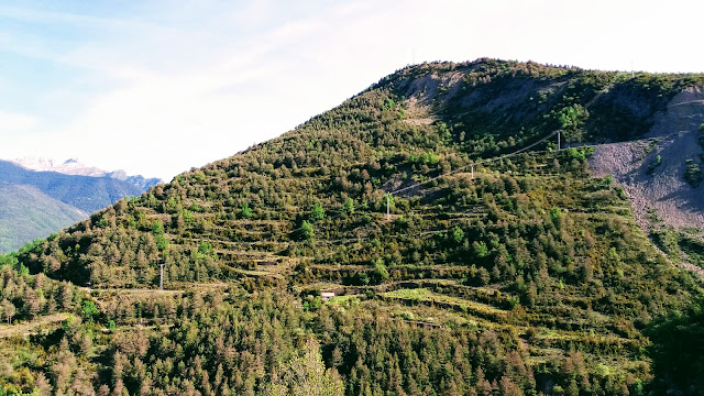 Senderismo en Biescas: Orós alto - Barbenuta - Orós bajo