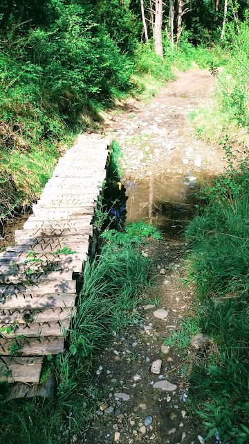 Senderismo en Biescas: Orós alto - Barbenuta - Orós bajo