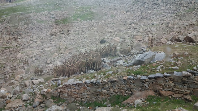 Guiada al Gran Paradiso, 4.061m