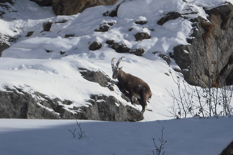 Alpes Italianos. Valle de Cogne. La Patrick. Dia 3