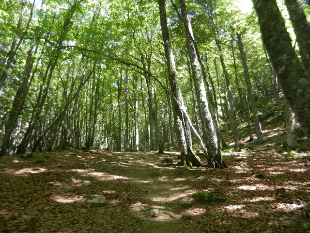Arremoulit-Ibones Arriel-Sarra, pirineos en familia