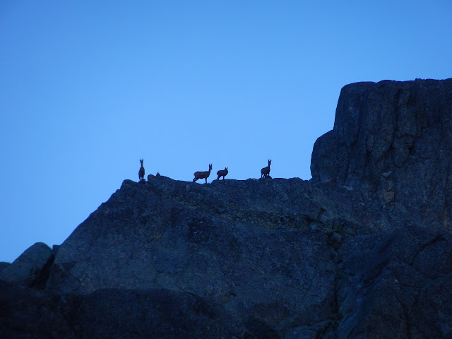 Arremoulit-Ibones Arriel-Sarra, pirineos en familia