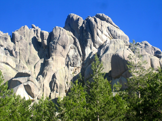Caballo de Ajedrez + Alfil. Pedriza posterior