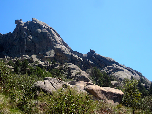 Caballo de Ajedrez + Alfil. Pedriza posterior
