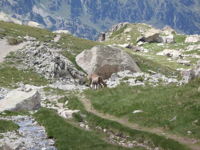 CARROS DE ROC 8/9. SABOREDO-COLOMERS