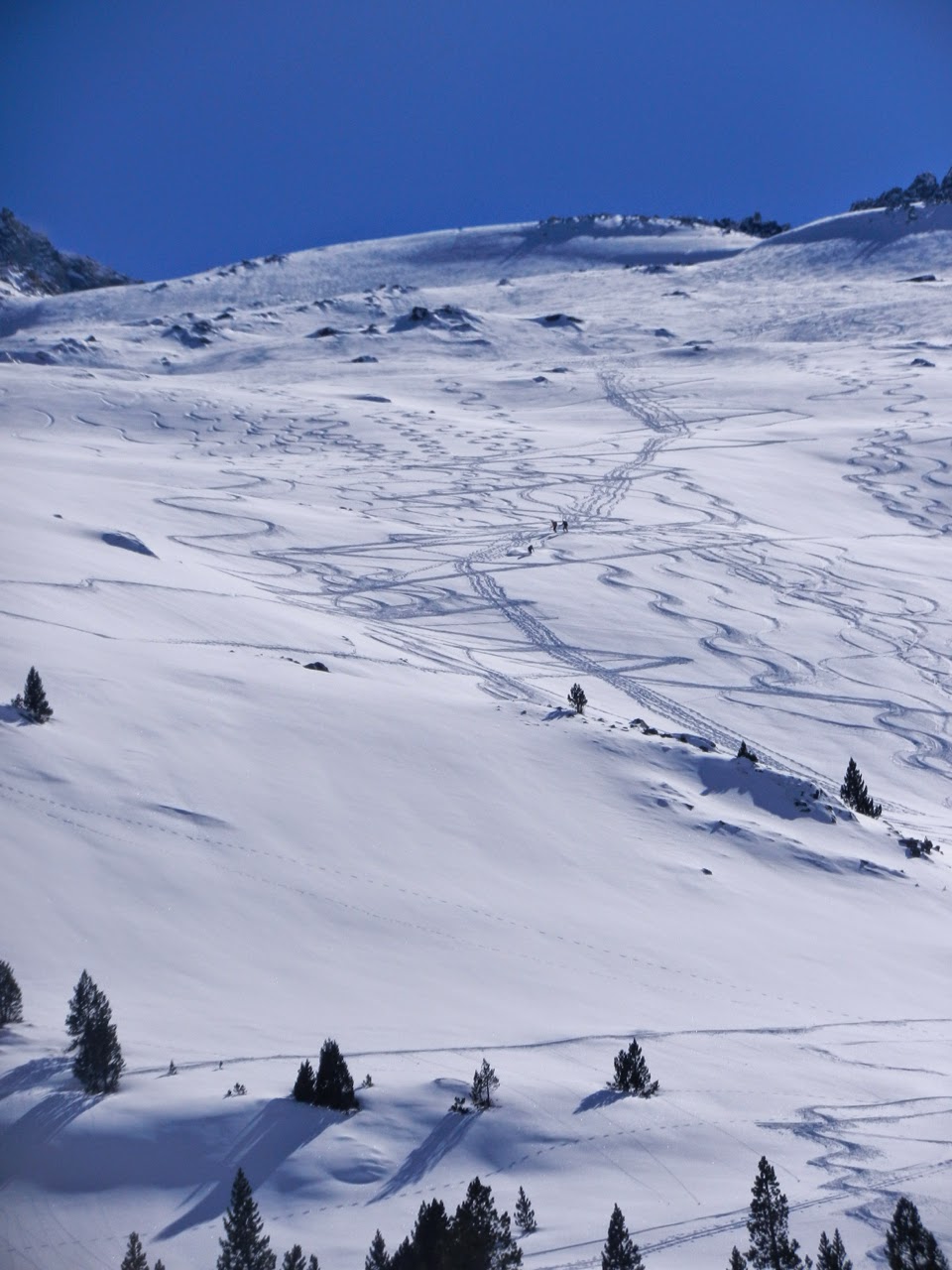 Técnico Deportivo Alta Montaña - Benasque - Marzo 2015