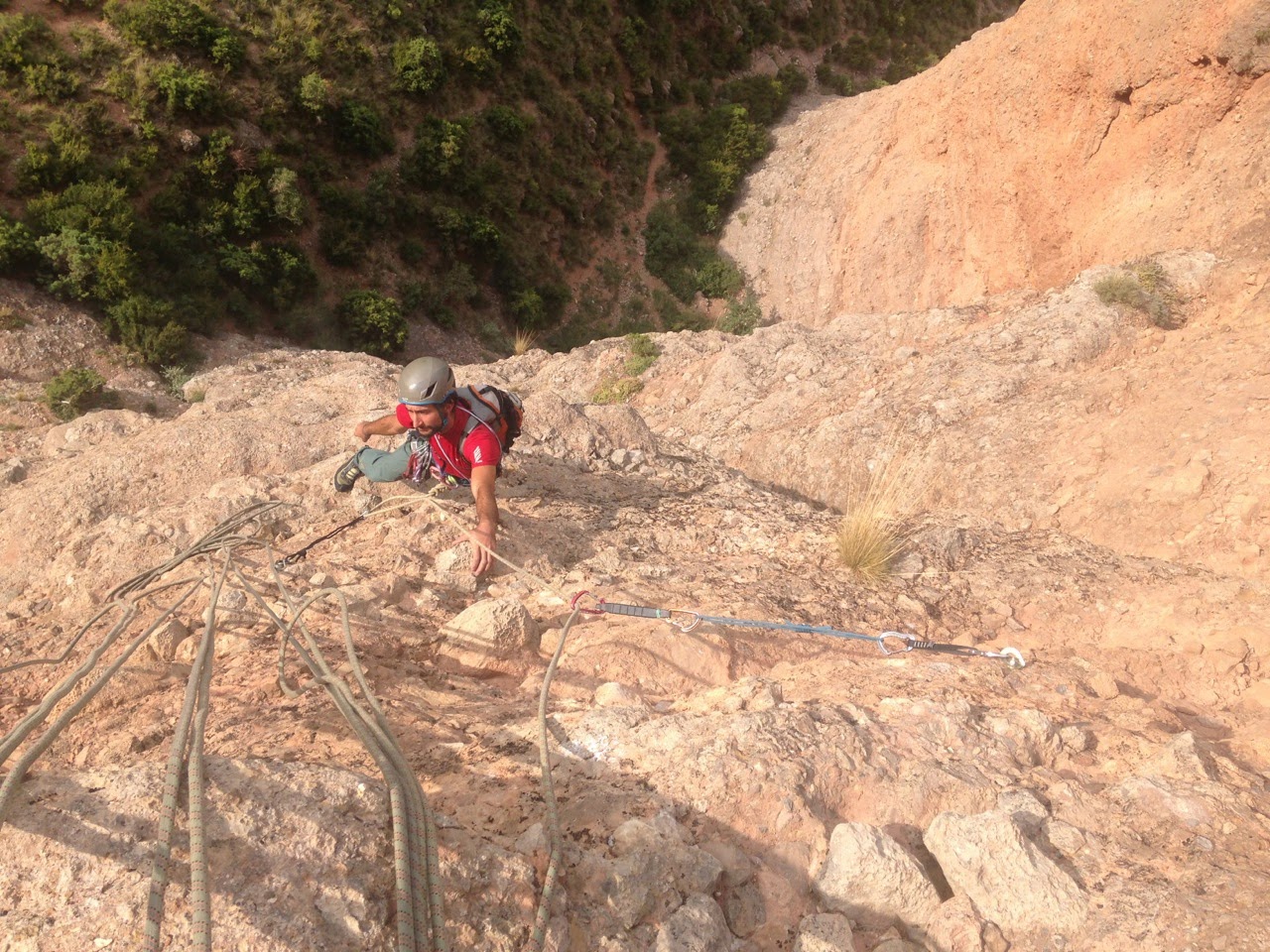 Currucuclillo + Puro - Serón Millán. Riglos