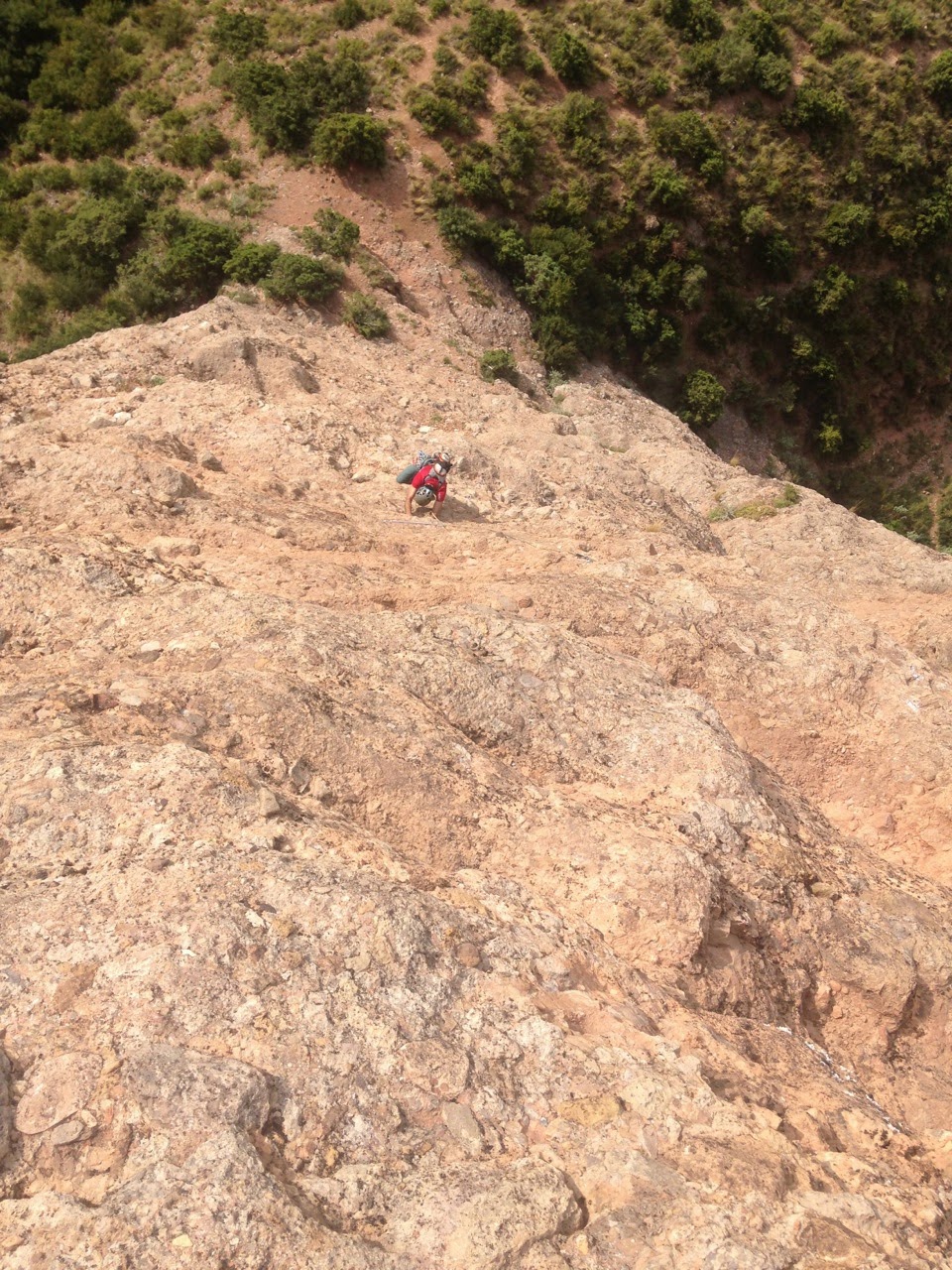 Currucuclillo + Puro - Serón Millán. Riglos