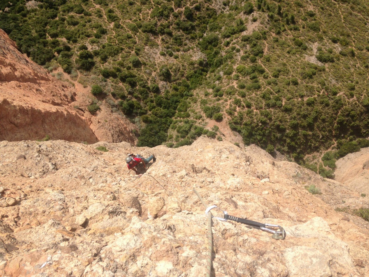Currucuclillo + Puro - Serón Millán. Riglos