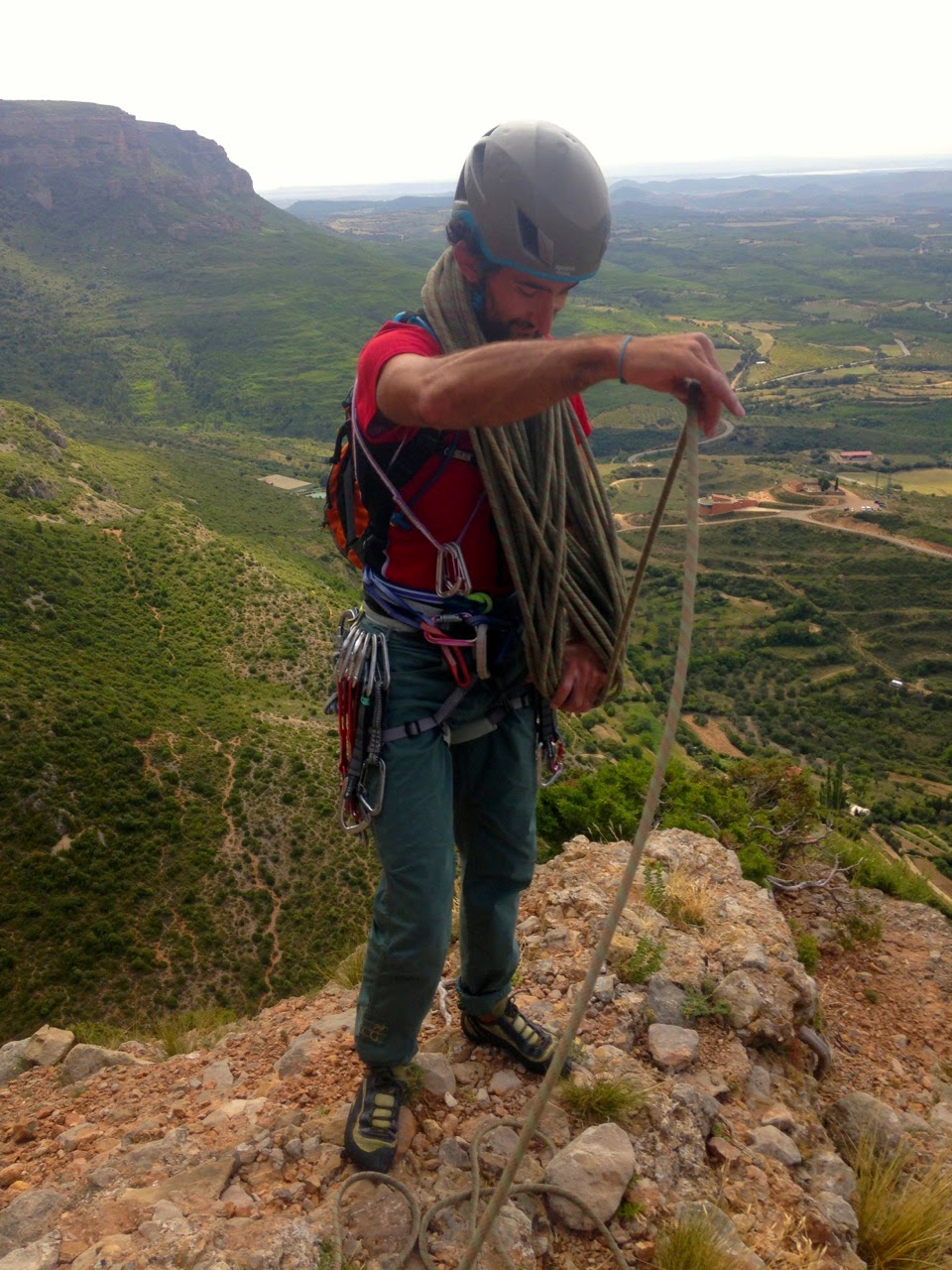 Currucuclillo + Puro - Serón Millán. Riglos