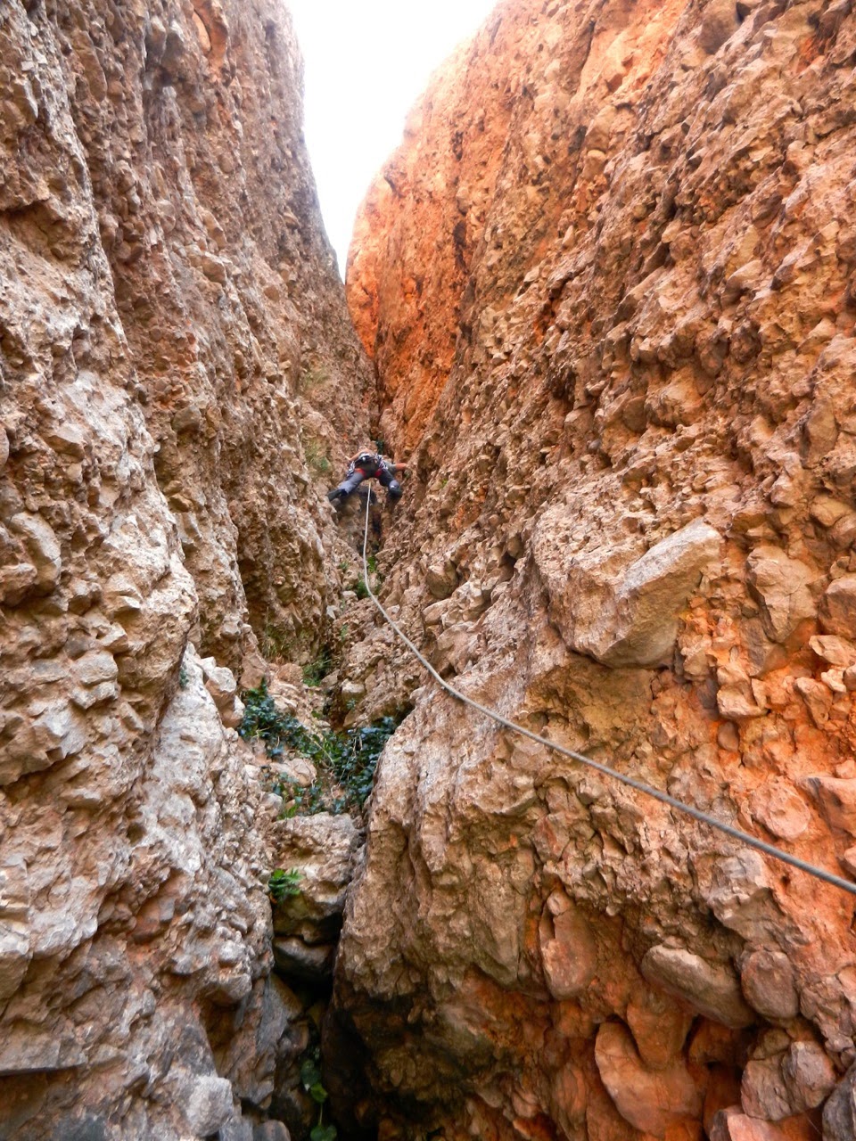 Currucuclillo + Puro - Serón Millán. Riglos