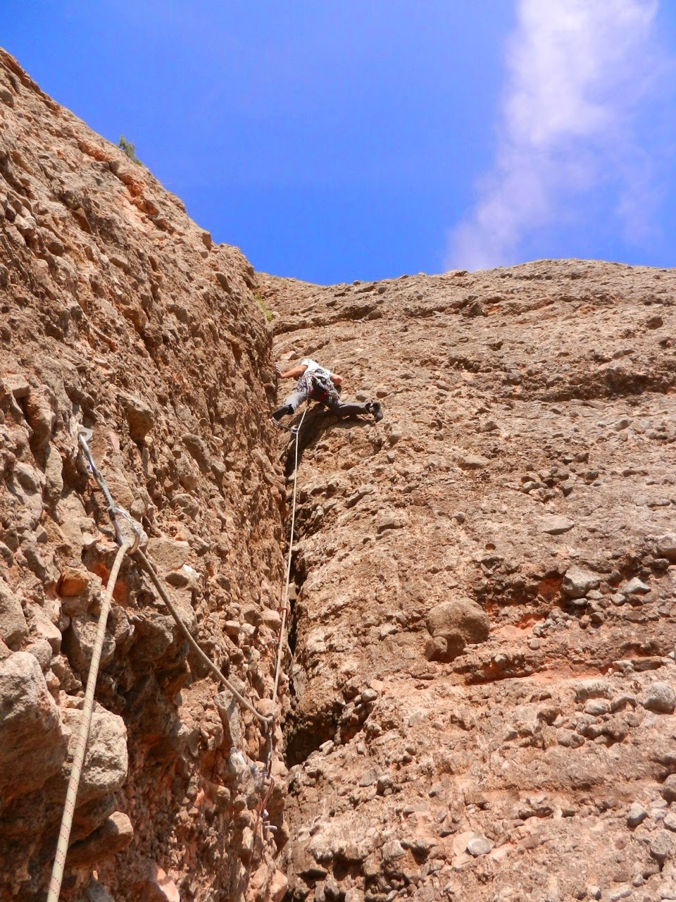 Currucuclillo + Puro - Serón Millán. Riglos