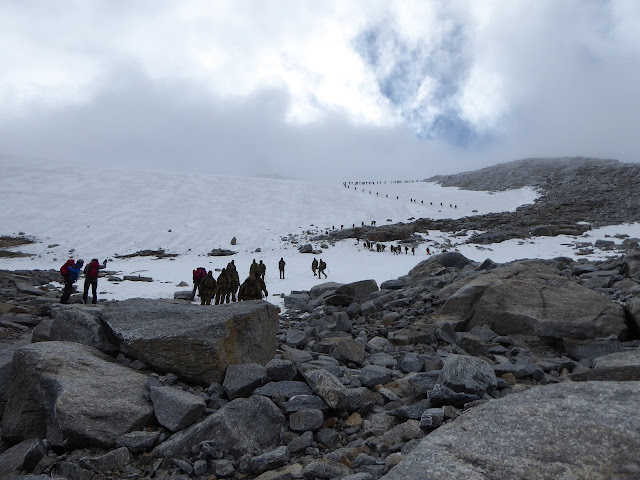 Guiada al Gran Paradiso, 4.061m