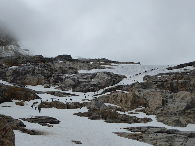 Guiada al Gran Paradiso, 4.061m