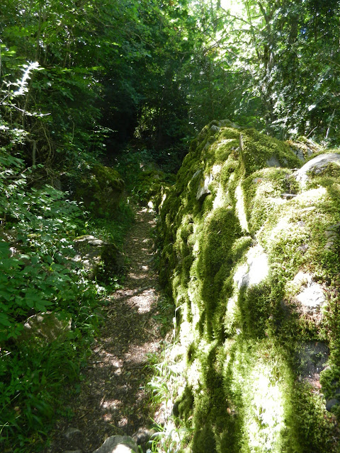 Hoz de Jaca - Santa Elena. Pirineos en familia