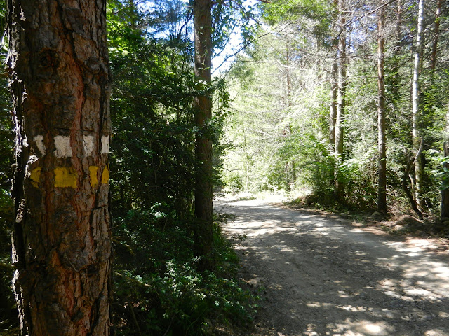 Hoz de Jaca - Santa Elena. Pirineos en familia