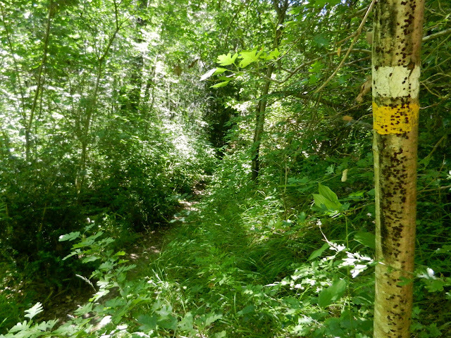 Hoz de Jaca - Santa Elena. Pirineos en familia