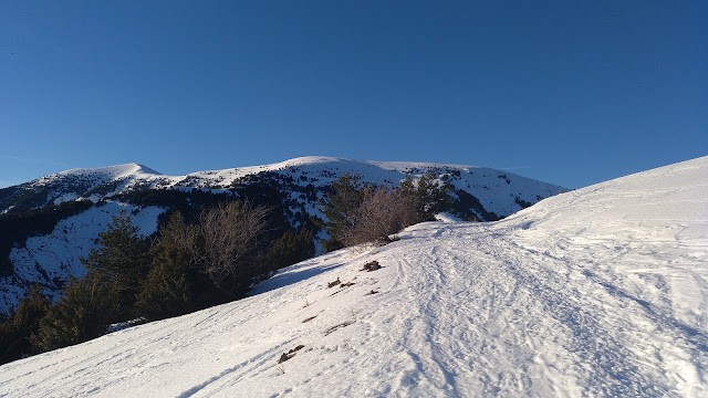 Pelopín desde Cotefablo, SKIMO
