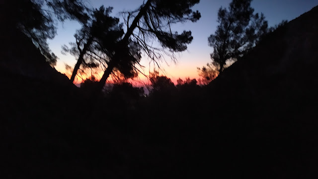 Rally 12h. Leiva 2019