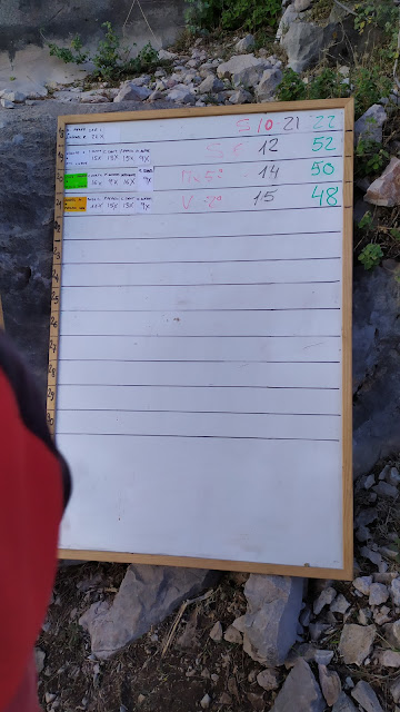 Rally 12h. Leiva 2019