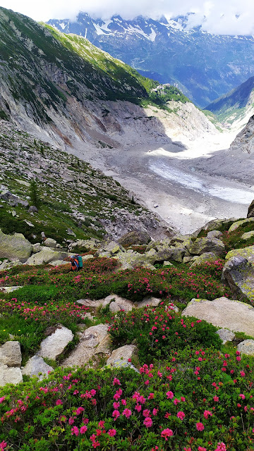Grepon - Mer de Glace III-5c 800m
