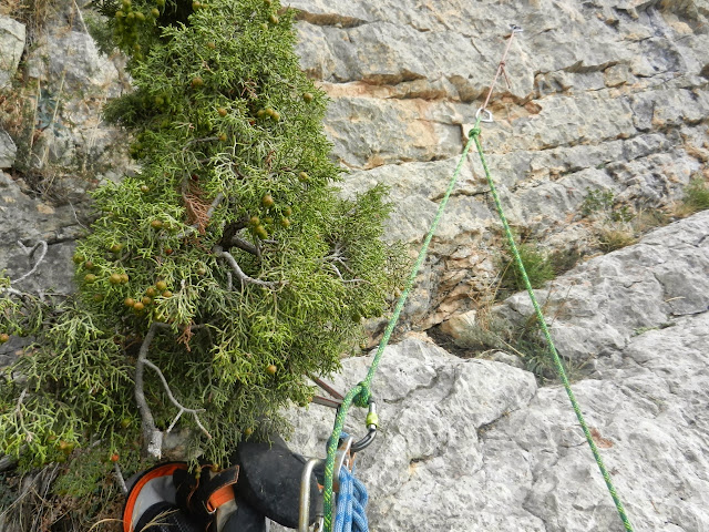 Desequilibrio Hormonal. Montrebei. Pared de Cataluña