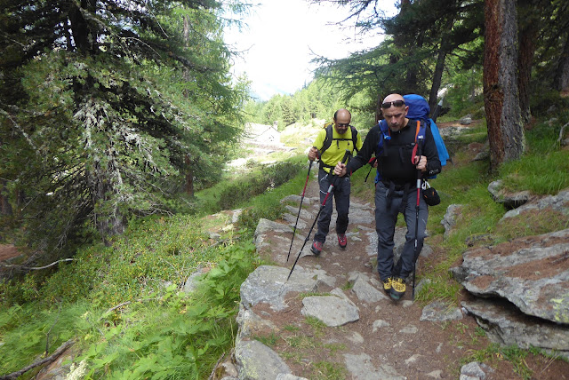 Gran Paradiso 4.061m por Chabod