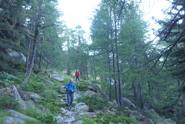 Gran Paradiso 4.061m por Chabod