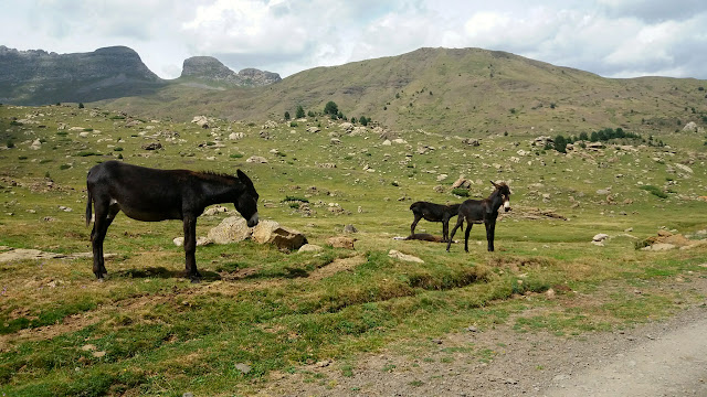 Bici familiar por la Partacua, Valle de Tena.