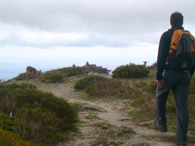 Vuelta a la pedriza.