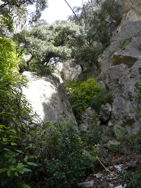 NOI al Puig Campana. Cara Oeste