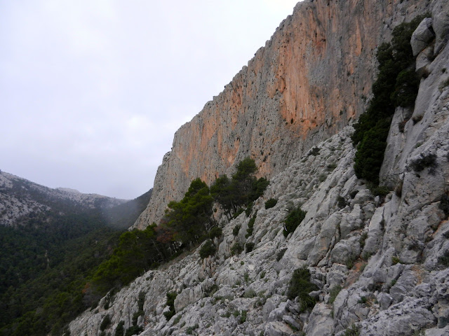 Rally 12h. escalada en Leiva