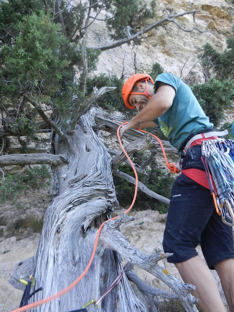 Nosferatu, Exterior y Chrysantemes. Stage Escalada FMM-EMAM. 2/5