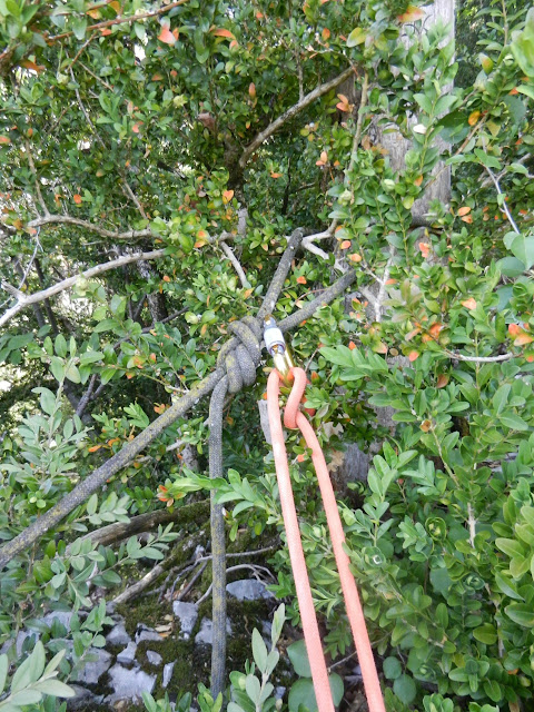 Leaus de Venus. Stage Escalada FMM-EMAM. 5/5