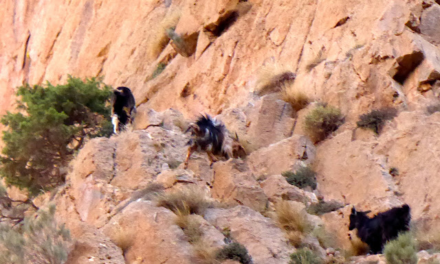 Au nom de la reforme, 6c/6b 340m. Taghia