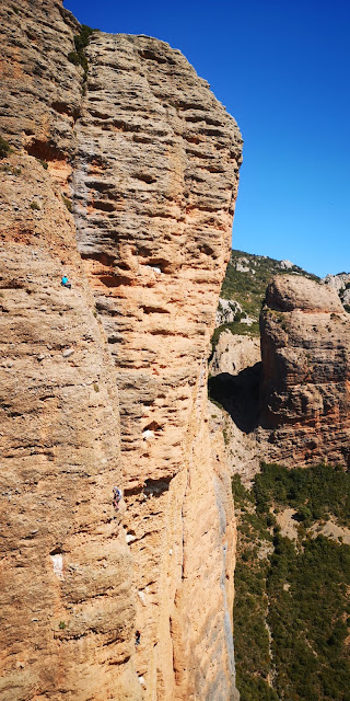 Vía Pandemia al Mallo Cuchillo, Riglos. 230m 6c/6a obl.