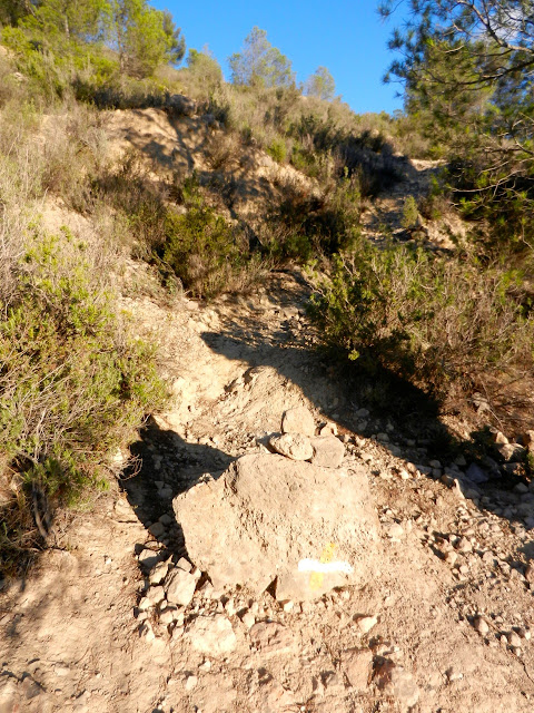Espolón Central Puig Campana 400m / Vº