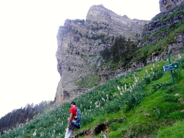 Brujas-Francoespañola, 430m MD+ (6b+/6a oblig.)