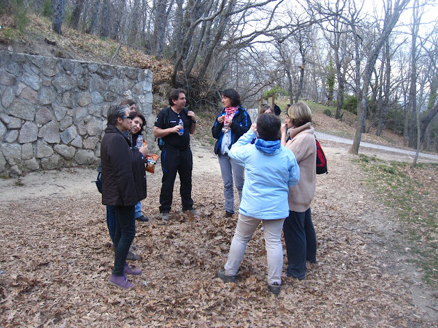 Senderismo en el Bosque de la Herrería - DAXNATUR