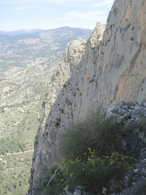 El cabeça - Pared de los Alcoyanos - Cabeço d´or